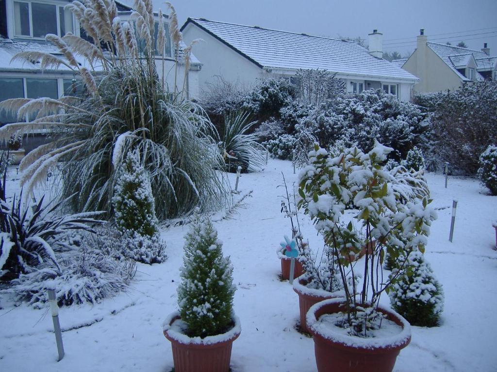 Springfield B&B Boreland of Colvend Dış mekan fotoğraf